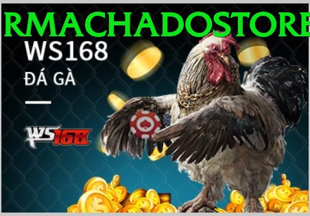 Đá Gà Trực Tiếp - 13WIN