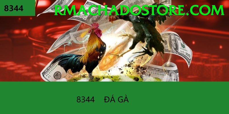 Đá Gà Trực Tiếp - Trải nghiệm tuyệt vời