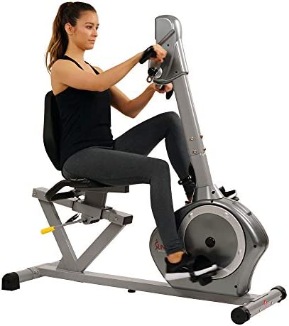 Sunny Health & Fitness Recumbent Bike SF-RB4631 with Arm Exerciser, 350lb,Gray