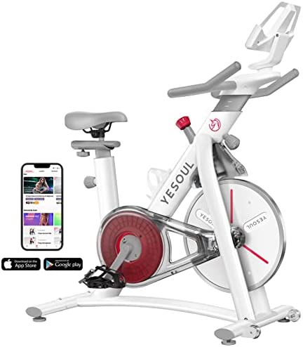 YESOUL S3 Exercise Bike Stationary Bike Spin Bike - Magnetic Resistance Built-In Bluetooth Heart Rate Monitor iPad Mount for Home Indoor Workout