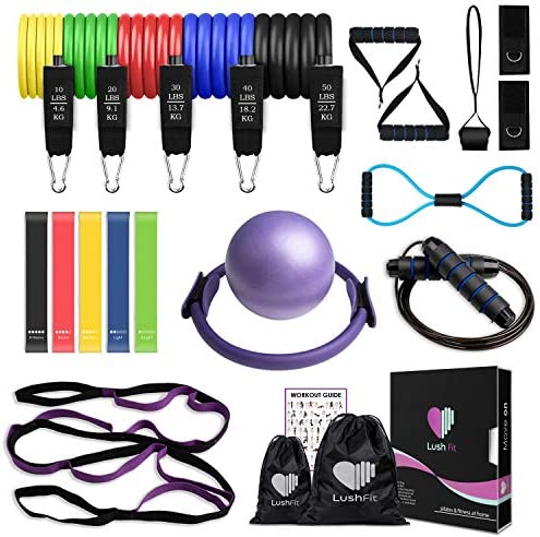 LUSHFIT Pilates Yoga Fitness Set - Pilates Ring - Pilates Ball - Yoga Stretching Strap - Resistance Bands Set - Exercise Bands Set - 8-Shaped Stretch Band - Jump Rope - Workout Guide Home Kit (25 Pcs)