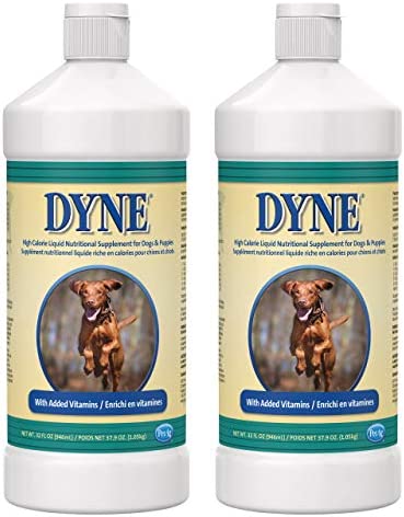 PetAg Dyne High-Calorie Liquid Nutritional Supplement for Dogs & Puppies - Provides Energy, Vitamins, & Extra Nutrition for Pets - 32 Fl Oz - 2 Pack