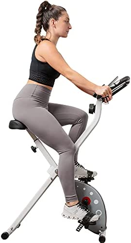 Sunny Health & Fitness Magnetic Foldable Exercise Bike - SF-B2989, grey