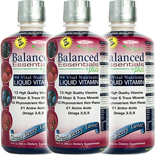 Wellgenix Balanced Essentials Liquid Vitamin for High Absorption - Nutritional Multivitamin Supplement - Boosts Immune System and Overall Health - Berry Flavor (32 oz) (3)