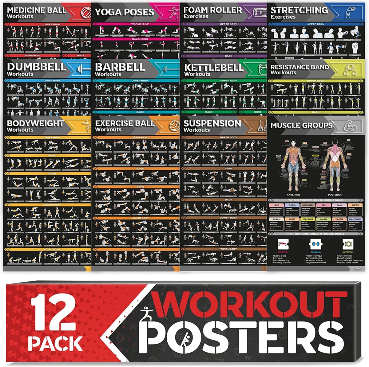 [12-PACK] Laminated Large Workout Poster Set – Perfect Workout Posters for Home Gym – Exercise Charts Incl. Dumbbell, Yoga Poses, Resistance Band, Kettlebell, Stretching & More Fitness Gym Posters