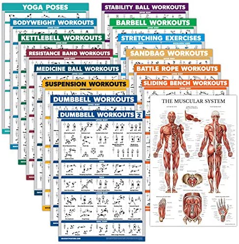 Palace Learning 15 Pack - Exercise Poster Set: Dumbbell, Suspension, Kettlebell, Resistance Bands, Stretching, Bodyweight, Barbell, Yoga, Battle Rope, Exercise Ball, Muscular, Medicine Ball